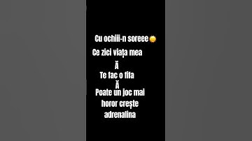 #Smiley#&#Theo Zeciu#VTM#