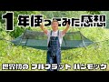 ローソンハンモックを1年間使ってみた感想【ローソンハンモック ヘブンテント】