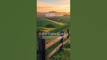 #quran #قرآن #ياسر_الدوسري #سورة_النصر