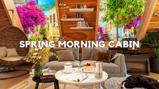 Sweet Spring Morning : Coffee Cup & Spring Bossa Nova Jazz Music in Sweet Cabin Coffee Shop Space by Coffee Shop Bookstore 154 views 1 year ago 10 hours