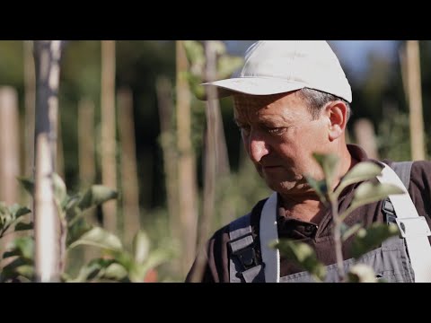 Video: Butlerjev sadovnjak: družinska kmetija v Germantownu v Marylandu