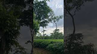 Download Mp3 Time To Listen🌸 Gudang lagu Download Mp3 Time To Listen🌸