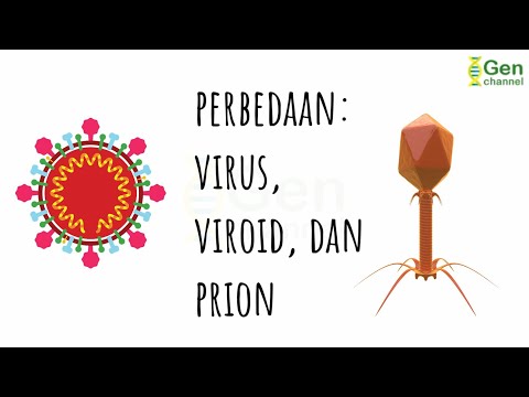 Video: Perbedaan Antara Prion Dan Viroid