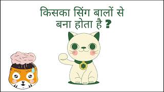 जंगल में आग कौन सा पक्षी लगाता है ?animalfactsinhindi