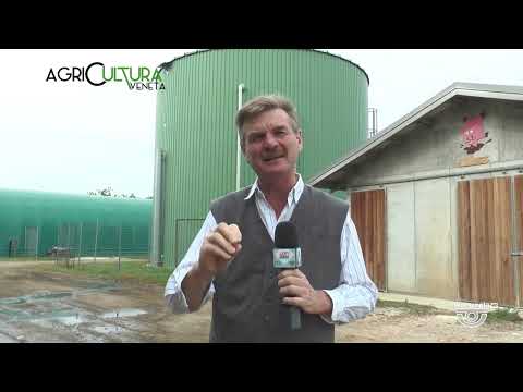 AGRICULTURA VENETA | 08/10/2022