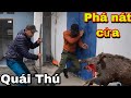 Quái Thú Lợn Rừng 200kg Tìm Đường Phá Tan Nhà Hoang | Đại 87