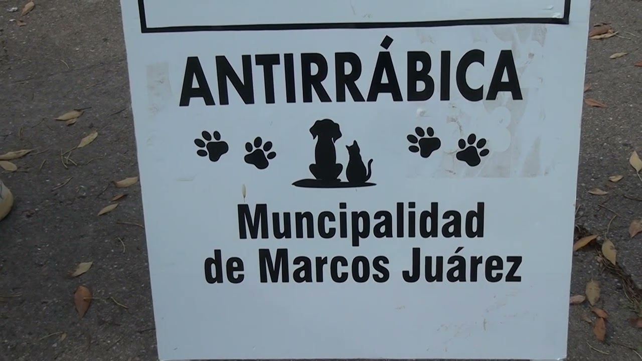 Marcos Juárez: Vacunación antirrábica en la ciudad