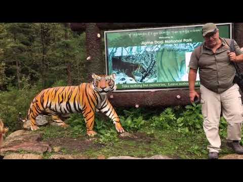 Video: Parque Nacional y Reserva de Tigres de Nagarhole: una guía completa