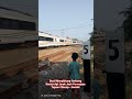 Awas Kereta!!! Bocil Menghitung Gerbong KA Jarak Jauh Purwojaya Melintas