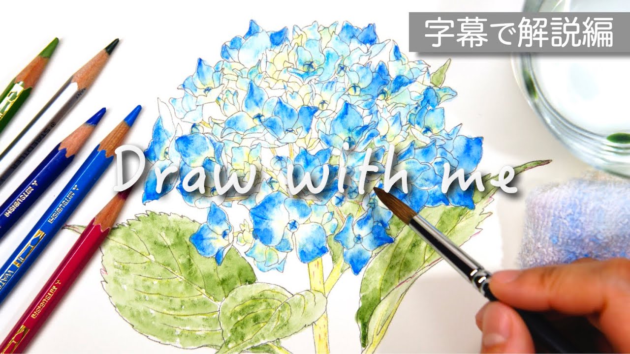 紫陽花の描き方 字幕で解説編 水彩色鉛筆 Hydrangea Drawing In Watercolor Pencils Youtube