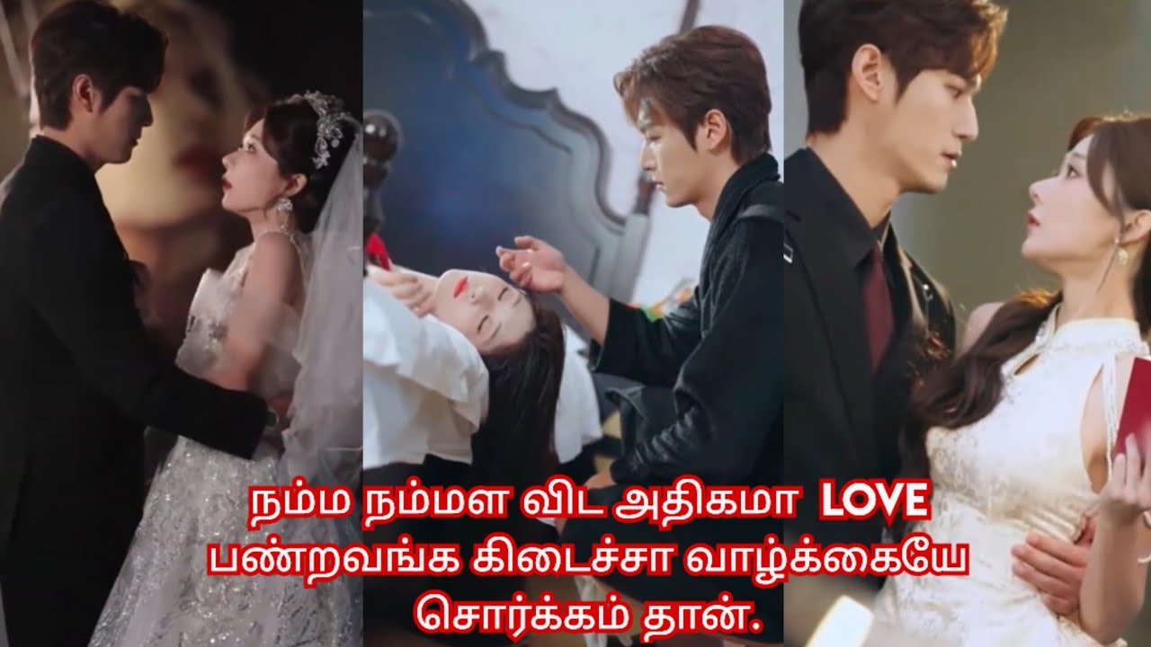 Beautiful love story ❤/movie/mini drama/ Tamil review/ Tamil explanation.😅