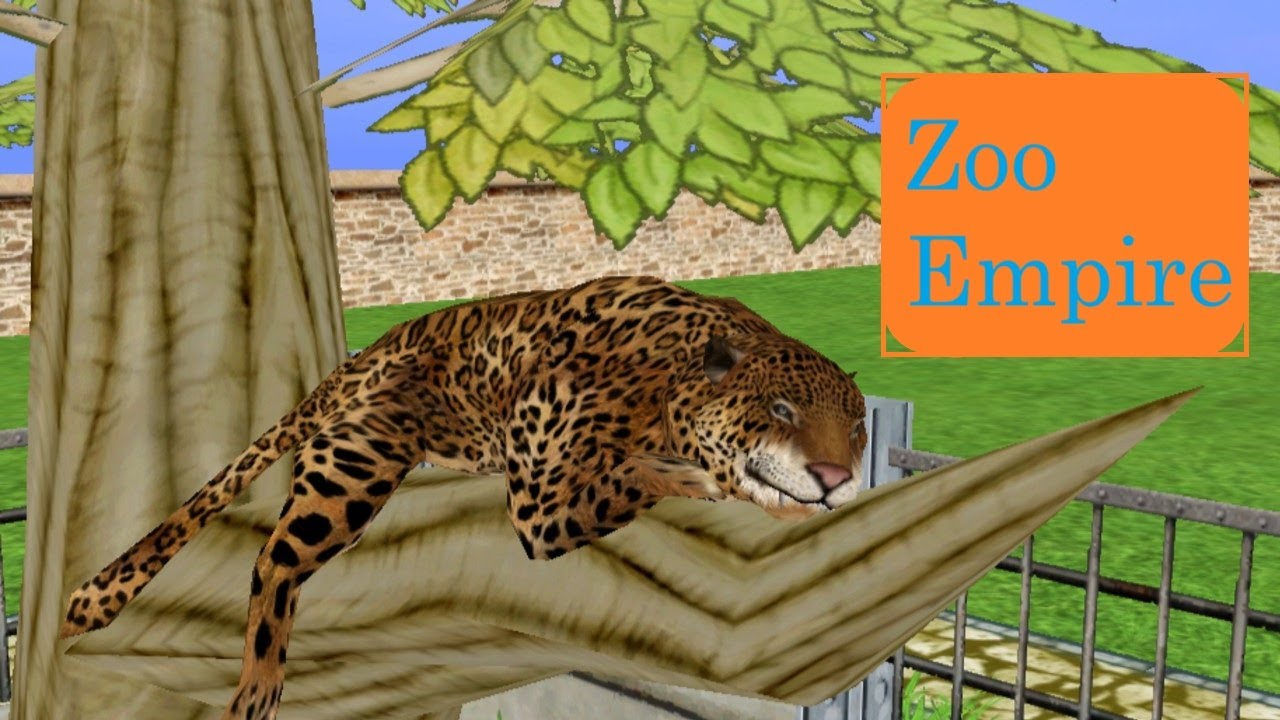 LOANS AND BABY ANIMALS - Zoo Empire