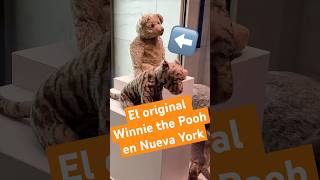 Winnie the Pooh en NY, el original