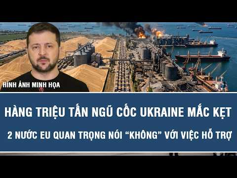 Millions of tons of Ukrainian grain stranded as 2 key EU nations say "no" to aid