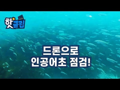 3D 드론으로 구조물을 검사한다  / YTN 사이언스