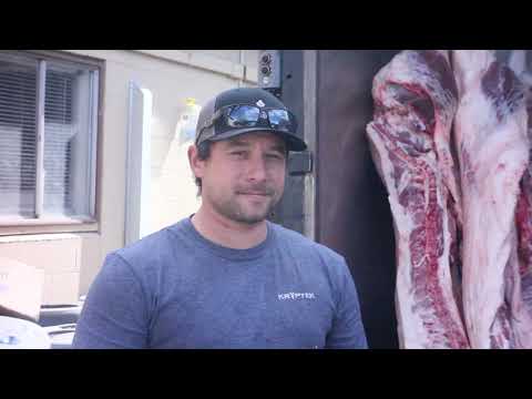 Diamond G  Ranch Slaughtering. Sheep gut for violin string.