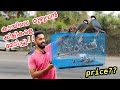 “24” പുതിയ കിളികളെ മേടിച്ചു | Bought New Birds | Backyard Aviary | Koi Pond