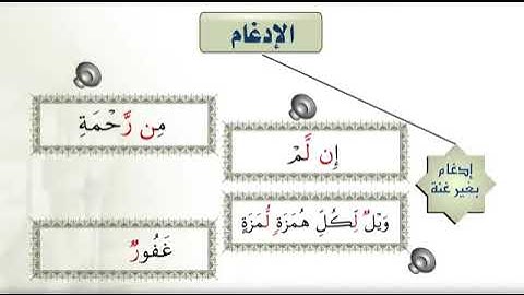 حروف الإدغام في قواعد التجويد رواية ورش عن نافع ❤👍🌹