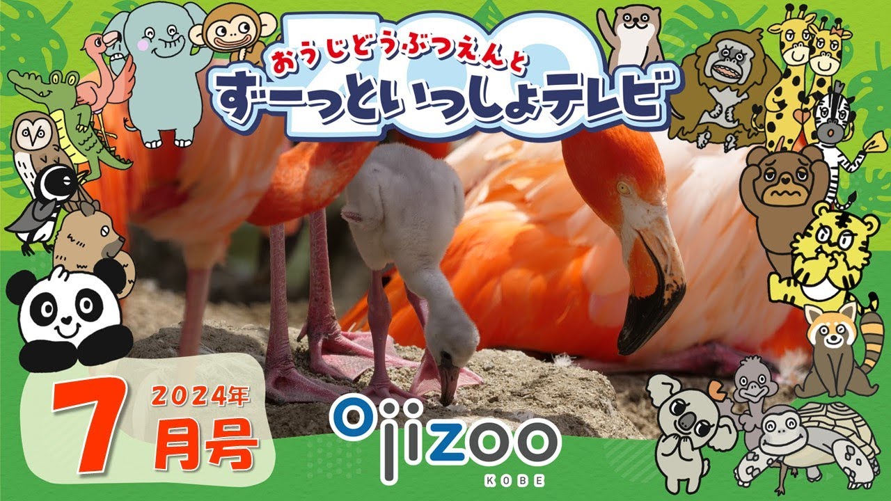 鳥を抱える子供 Parent and child bird photography] We encountered great tits and