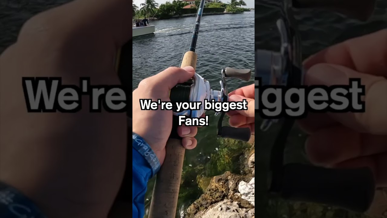 Can I Catch a Fish on Squid?