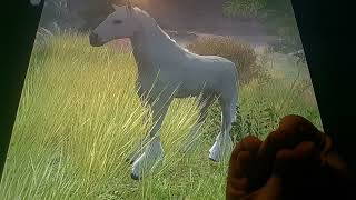 Horacio the handsnake - Felaróf (horse)