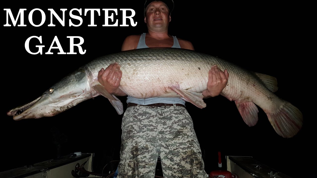 MONSTER Alligator Gar Trinity River, Texas Northwoods Angling Part 2