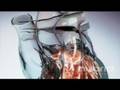 Glass heart hybrid medical animation