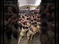 Top 5 Best Military Moments #best #military