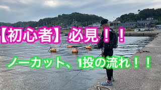 エギング【初心者】必見！！ボトムを丁寧に探る釣り方と一投して回収するまでの流れ　防波堤の足元まで探れる場所での釣り方