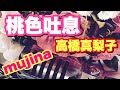 桃色吐息(高橋真梨子)歌詞有 / mujina  +おまけ付[夜に駆ける/YOASOBI]