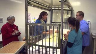 TSSC - Cincinnati Children's Hospital Medical Center