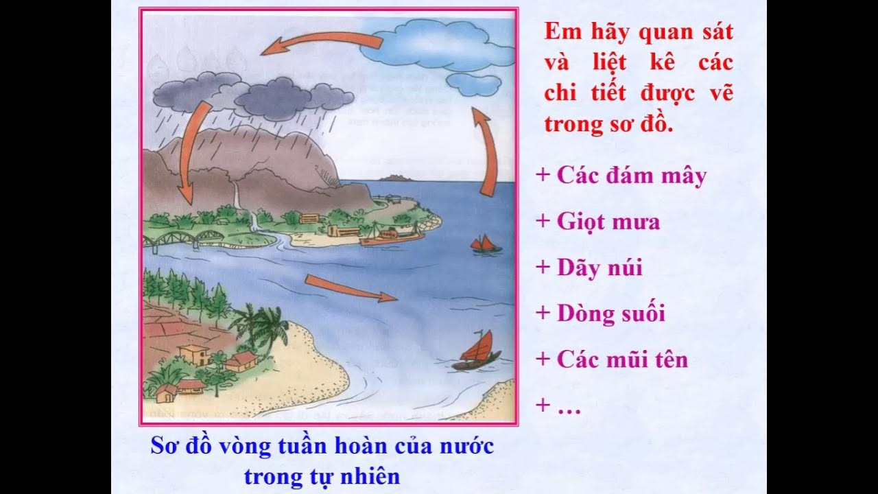 Vòng tuần hoàn nước: \