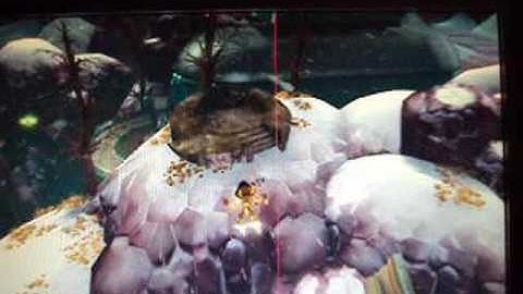 Ratchet and Clank Future: ACiT Glitches Part 4