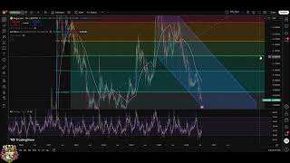 Bitcoin Cash & Dogecoin: Crucial Support Levels & Bear Flag Warnings!