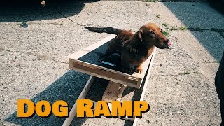 Mini Dachshund Tries Out Home Made Ramp Cute Dog Video 4K