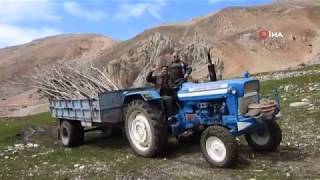 Munzur Dağları Yeşillenecek