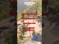 Willow Estate Rishikesh | Luxury Villas &amp; Premium Plots in the Lap of Nature