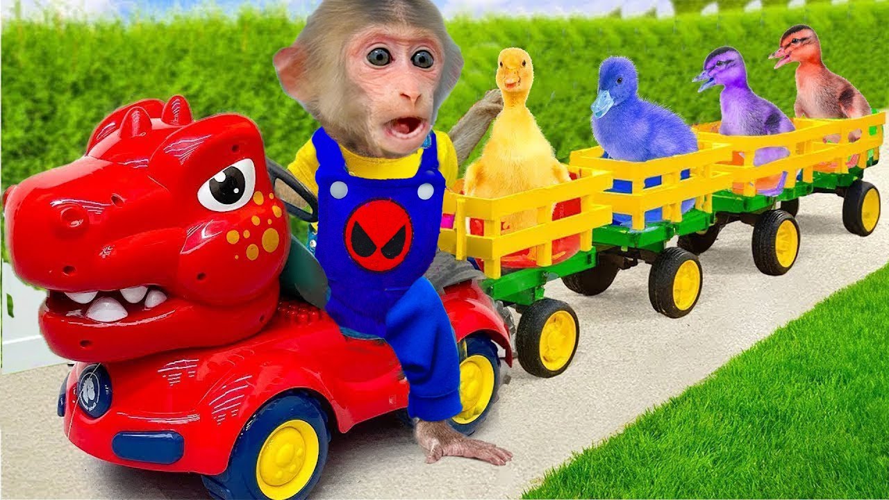 Bin Bon duck Monkey Baby Kittens Puppy Goes Koi Cat And swims Rabbits Animals Eats Egg Muckbang Asmr