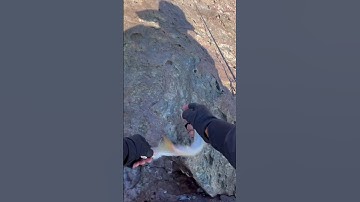 Câu Lure biển lên 2 con cá cùng lúc #thanhcauca