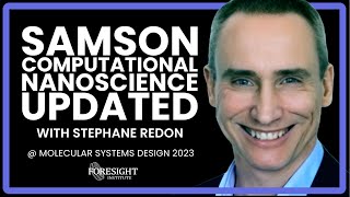 Stephane Redon | SAMSON Computational Nanoscience Updated @ Molecular Systems Design Workshop 2023