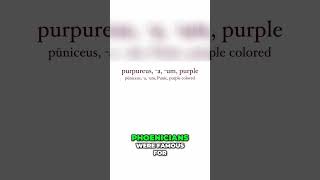 Discover the Origins of Purple in Latin #latin #ancientrome #romanempire #languagelearning
Purple in Latin is all about the famous dyes! šļø
Purpureus: The source of our word purple, from the Greek purpura, a purple-producing sea creature.
Puniceus: Meaning Punic, as the Phoenicians were known for their purple dye.
Murex and ostrum: Both refer to the shellfish used to create the luxurious Tyrian purple.
Tyrian purple leans more reddish than todayās violet-like purple. Interestingly, Latin lacks words for violet entirely! š #LearnLatin #LatinColors #AncientLanguages Discover the Origins of Purple in Latin #latin #ancientrome #romanempire #languagelearning