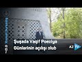 Şuşada Vaqif Poeziya Günlərinin açılışı olub - Prezident İlham Əliyev çıxış edib