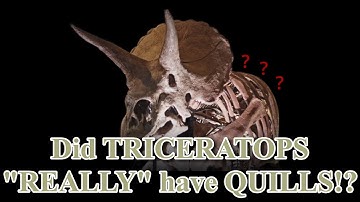 Controversial Triceratops Quill/Feather Theory EXPLAINED (and more)