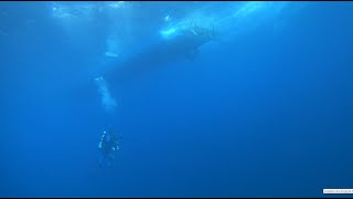 Cortes Bank Dive