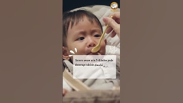 Bunda mulai kasi nasi di usia berapa? Komen di bawah ya ☺️ #doyanmakan #anaksusahmakan #madu369