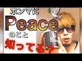 【Peace】ピースしか勝たん!値段が上がっても平和を愛す【レビュー】