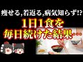 【ゆっくり解説】1日1食生活のとんでもない健康効果とダイエット効果って？