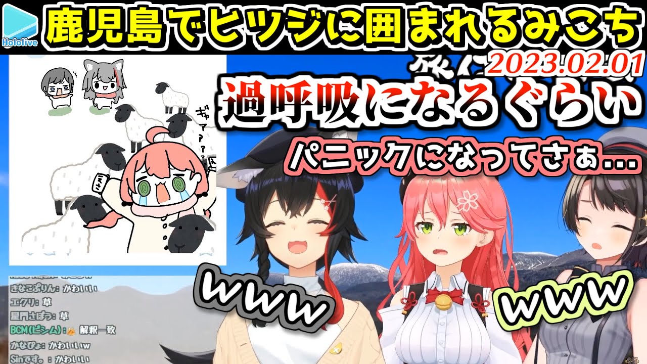 鹿児島のヒツジにどつき回されるミオみこスバ【2023.02.01/ホロライブ切り抜き】