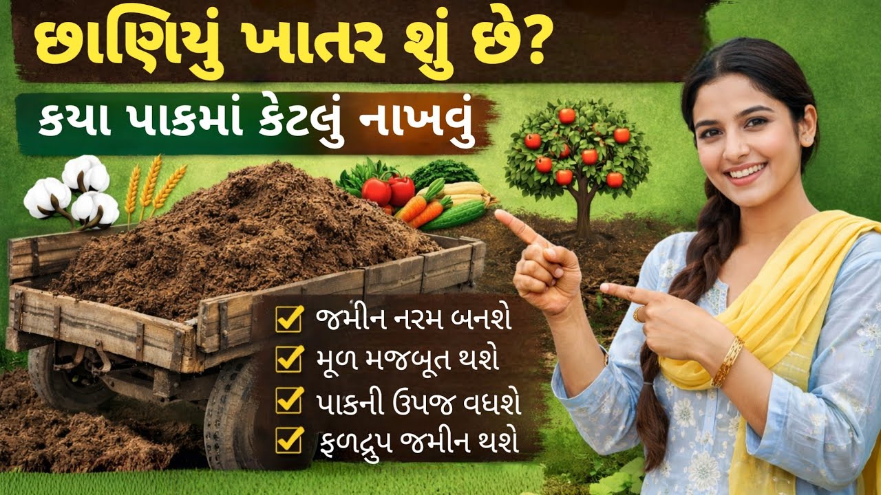 છાણિયું ખાતર શું છે? | કયા પાકમાં કેટલું નાખવું? | ખેડૂત માટે સરળ માહિતી