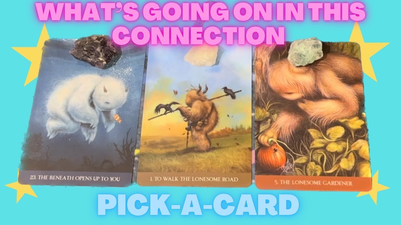 ️🔮 PICK-A-CARD🔮 ️ What's going on in this connection 🌙🔮⭐ TIMELESS ️🔮 ...